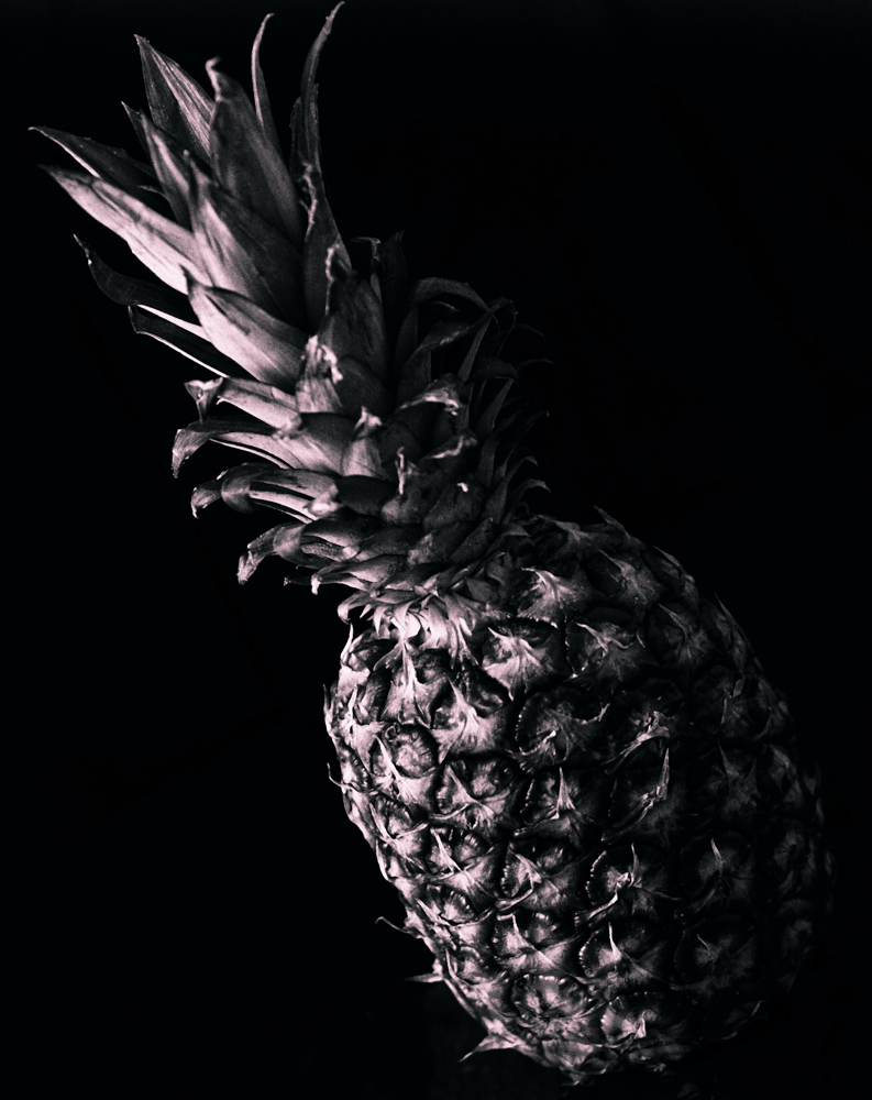 Pineapple, by Janet Coulson