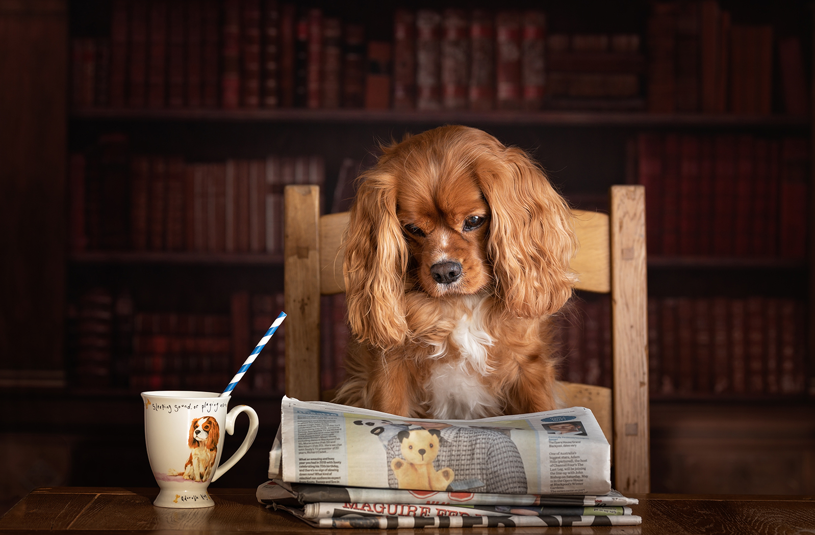 A Dog reading the newspaper