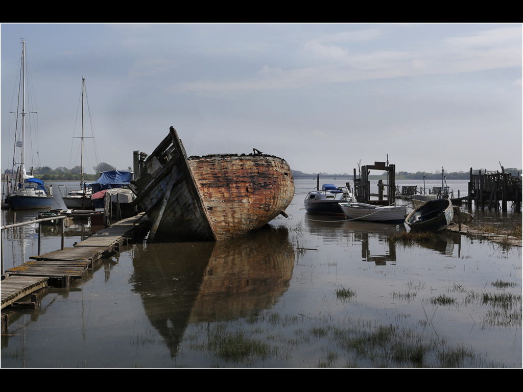 an image of an old boat going to ruin