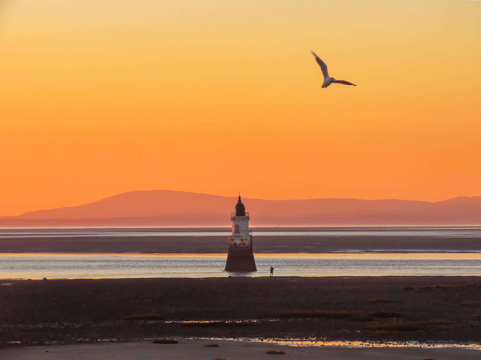 Plover Scar Lighthouse at Sunset, Janet Whitlow